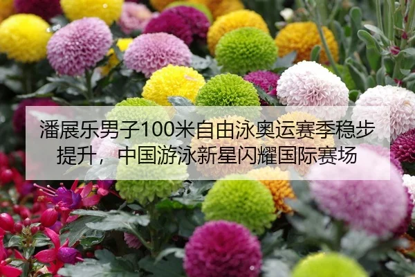 潘展乐男子100米自由泳奥运赛季稳步提升，中国游泳新星闪耀国际赛场