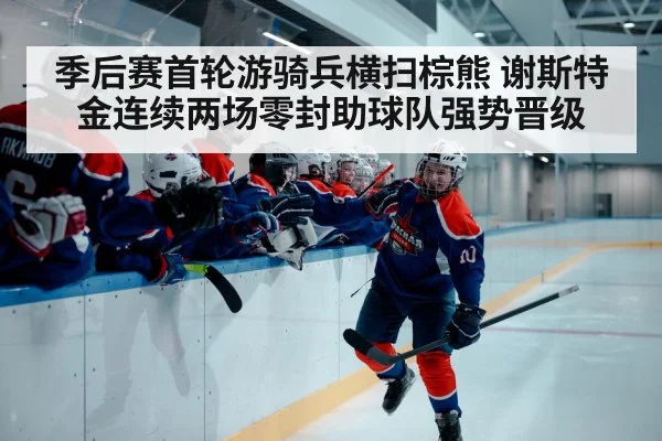 hockey playoff game